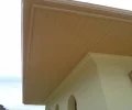 Zdjęcie z galerii